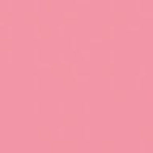 Meet your Posher, Anabel